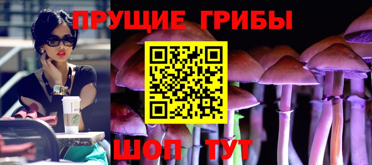 Галлюциногенные грибы GOLDEN TEACHER  как найти   Алейск  Вход с VPN 